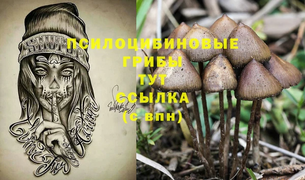 соль ск Абдулино