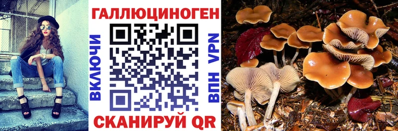 Псилоцибиновые грибы мицелий  Агидель 